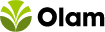 Olam